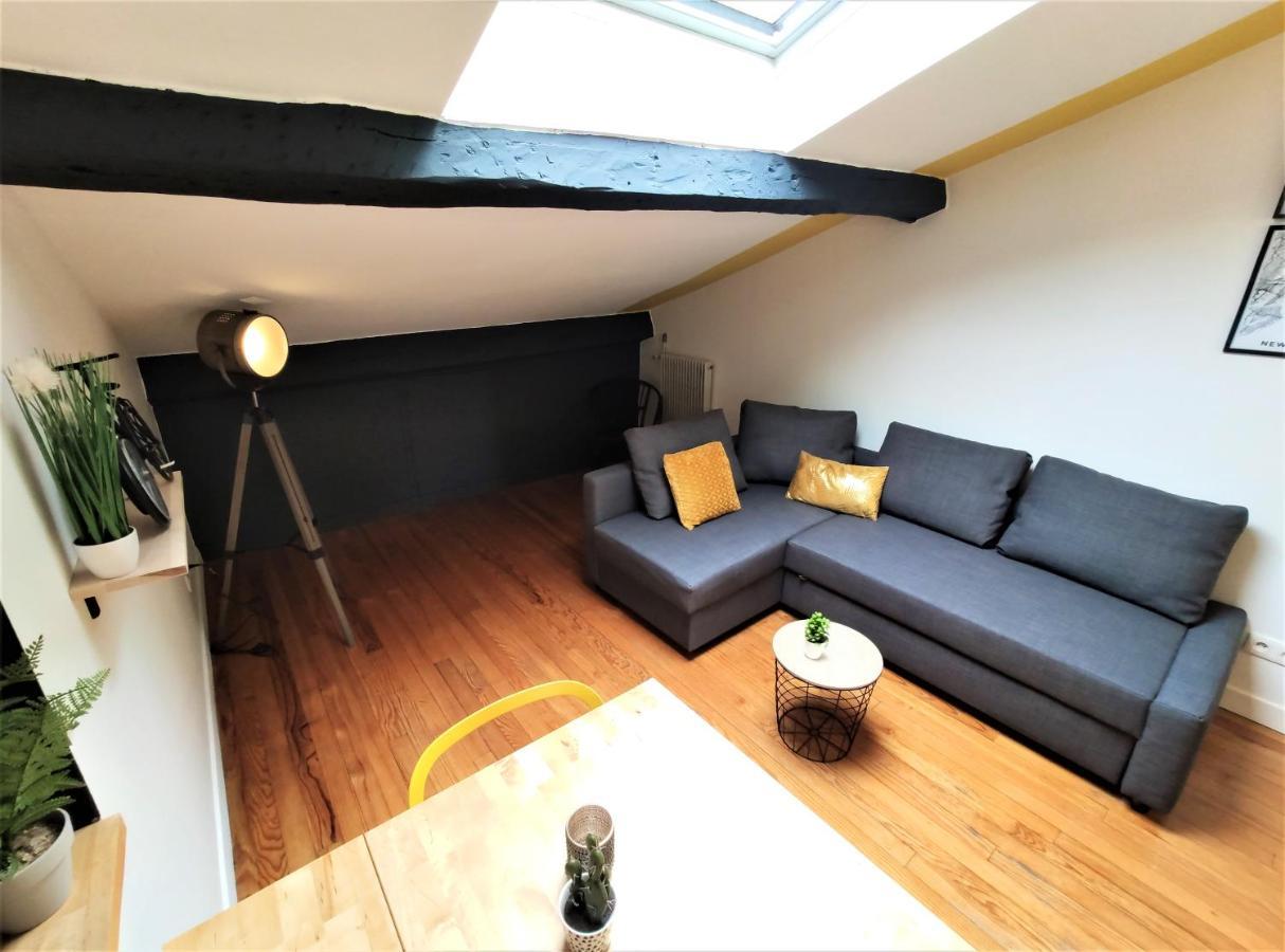 La Terrasse De Jeanne - Vue Magnifique - Netflix Apartment Toulouse Bagian luar foto